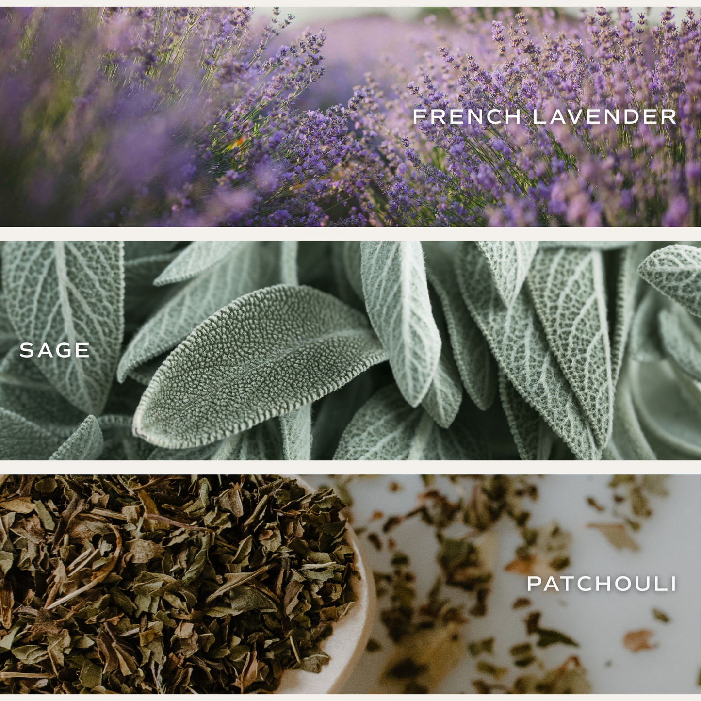 Lavender and Sage 9 oz Soy Candle | Hand-Poured Calming Home Fragrance